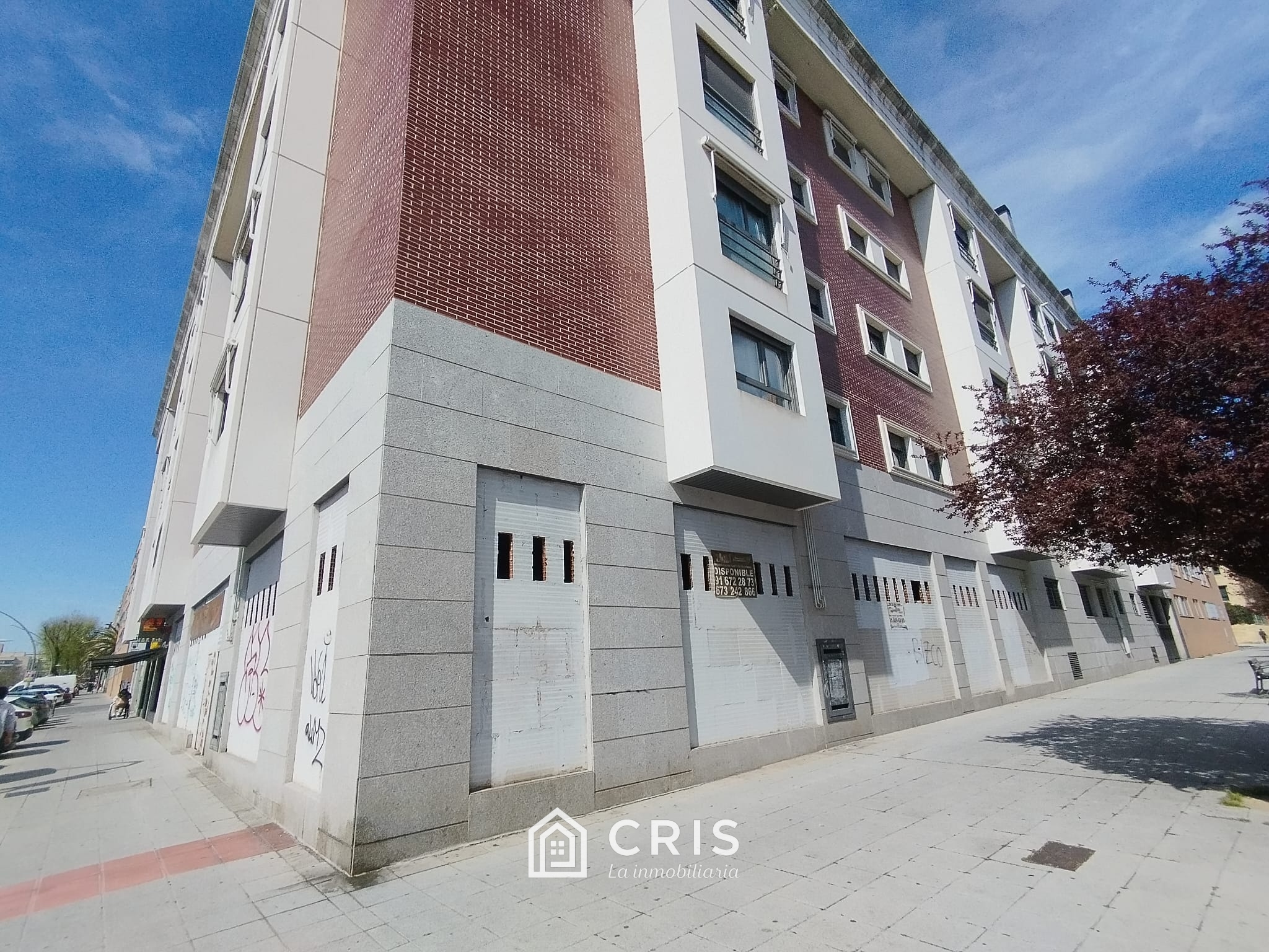 SAN FERNANDO, AVENIDA DE MONTSERRAT, MAGNIFICO LOCAL DE 258 METROS CUADRADOS DE ESQUINA CON FACHADA DE 35 METROS. — foto 2