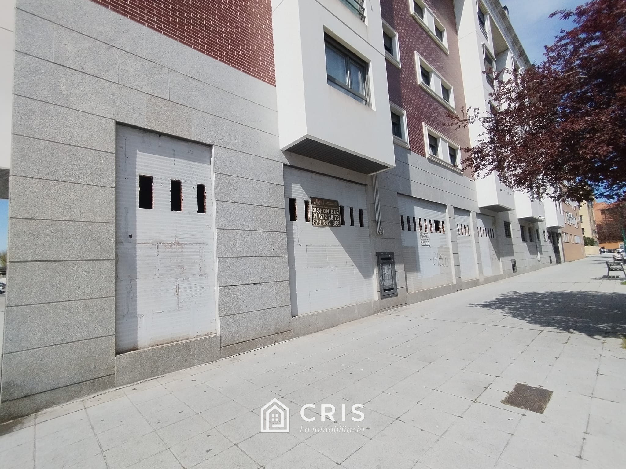 SAN FERNANDO, AVENIDA DE MONTSERRAT, MAGNIFICO LOCAL DE 258 METROS CUADRADOS DE ESQUINA CON FACHADA DE 35 METROS. — foto 3